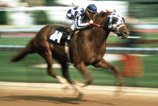 150 Years of the Kentucky Derby