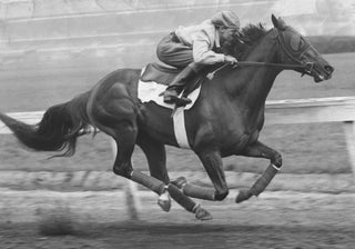 150 Years of the Kentucky Derby