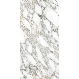 Supreme Memories 24"x48" Porcelain Tile Collection