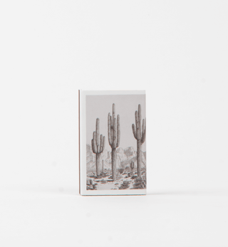Desert Cactus Match Set - Vintage Landscape
