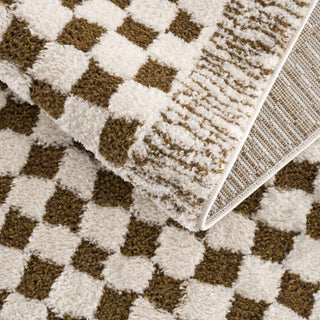 Leryn Brown&White Checkered Rug