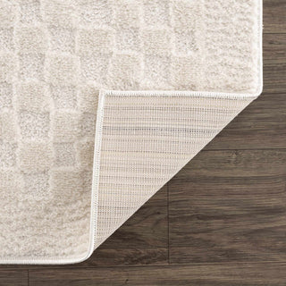 Leryn Ivory Checkered Area Rug