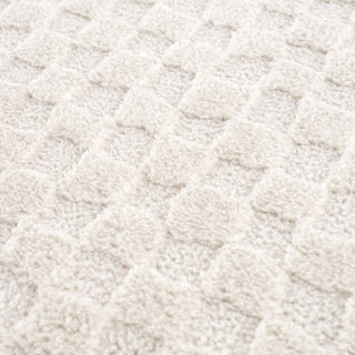 Leryn Ivory Checkered Area Rug