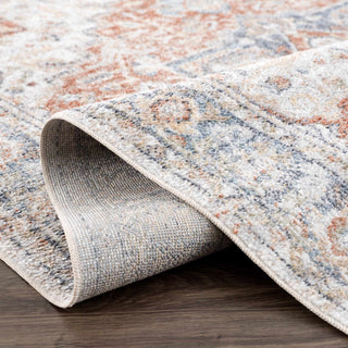 Akram Gray & Orange Washable Area Rug - Clearance Collection