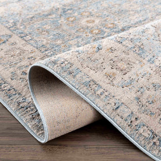 Anana Silver Blue & Beige Area Rug - Clearance Collection