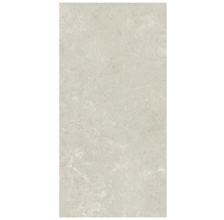 Florentine Argento Rectangular Porcelain Matte Tile 12"x24"