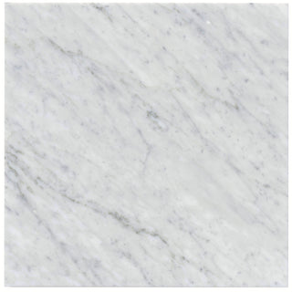 Firenze Carrara Marble Floor Tile 18x18