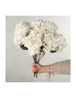 Hydrangea Floral Stem White