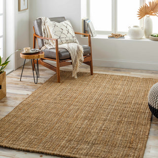 Ambel Beige Jute Rug Collection