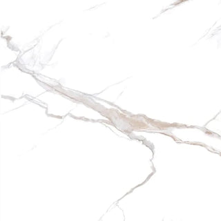 Marble Polished  Tile Collection 12"x24"